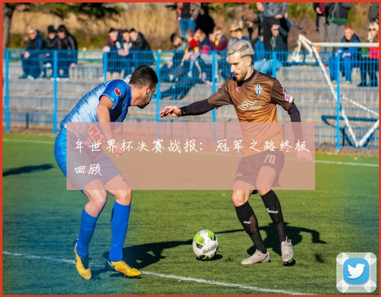 年世界杯决赛战报：冠军之路终极回顾