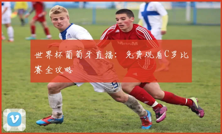 世界杯葡萄牙直播：免费观看C罗比赛全攻略
